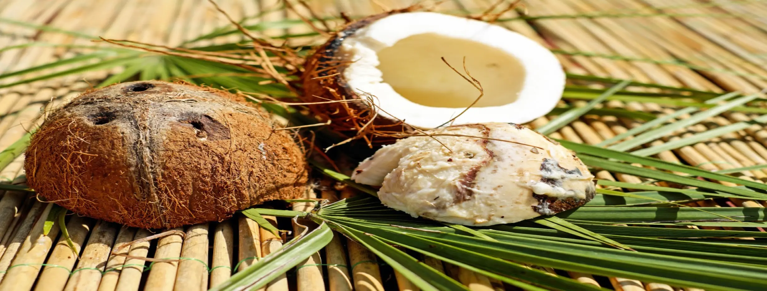 Image for Coconut Crafting